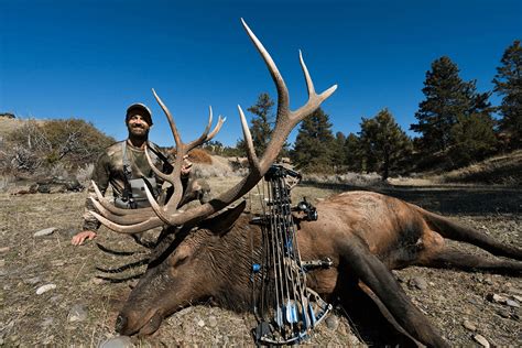 Montana Elk Hunting | Full Story of Willi Schmidt’s 2017 Montana Hunt | Pure Hunting