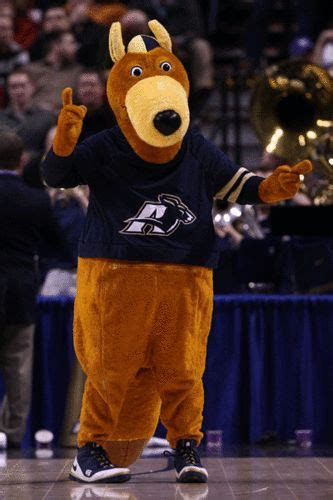 Crazy College Mascots | Akron zips, University of akron, Mascot