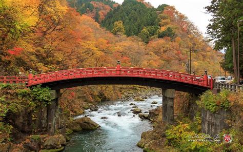 shinkyo_bridge_in_autumn_nikko | Kyuhoshi