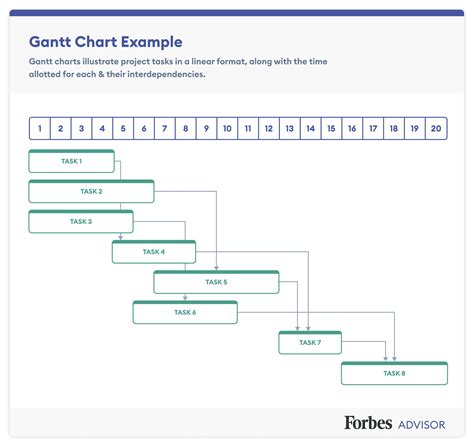 Pert Chart Vs Gantt Chart – Forbes Advisor