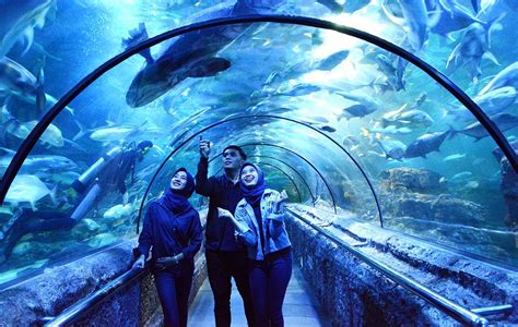 7 Kegiatan Seru Wisata di Ancol - Pergiyuk!