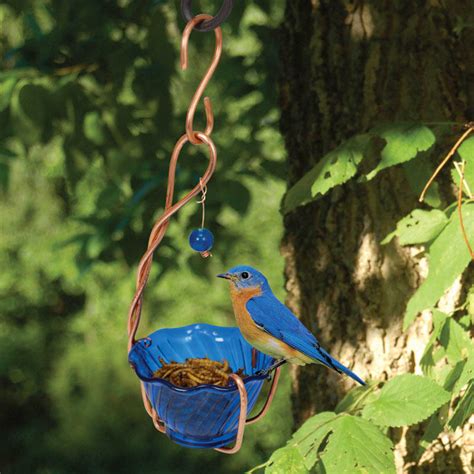 Copper Bluebird Feeder | Garden and Yard Decor | Breck's