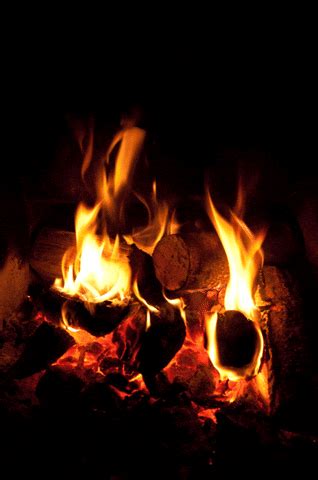 Fireplace GIFs - Find & Share on GIPHY