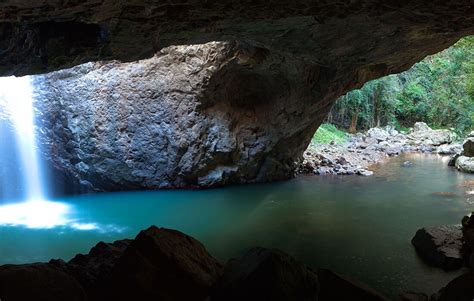 Springbrook – Natural Bridge Circuit – The Rainforest Way