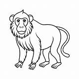 Premium Vector  Baboon Illustration coloring page For Kids sketch template