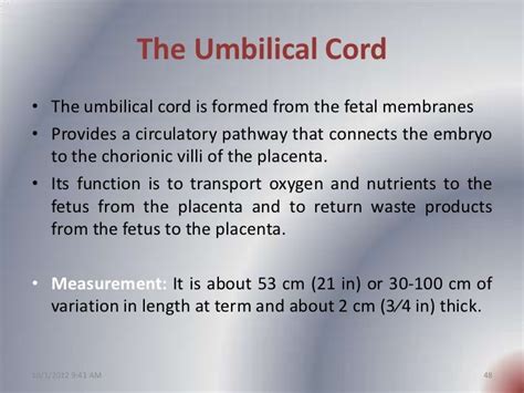 What Is The Function Of The Umbilical Cord During Pregnancy - PregnancyWalls