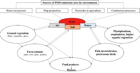 -Sources of emissions of POPs into the environment and ways of their ...