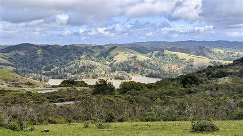 The green hills of California | Back Yard Biology