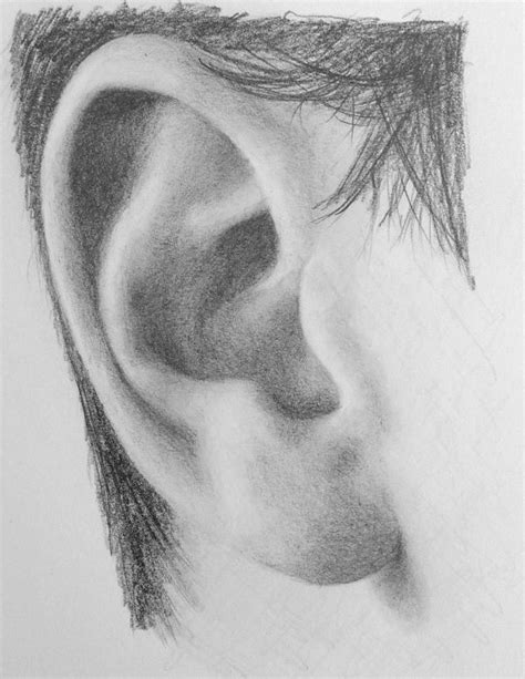 how to draw ear in pencil Portrait Au Crayon, Pencil Portrait, Portrait ...