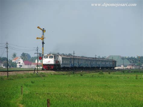 Kereta Api Indonesia: Kereta Api Malam Majapahit Ekspress Menembus Hijaunya Sawah Bumi Arema