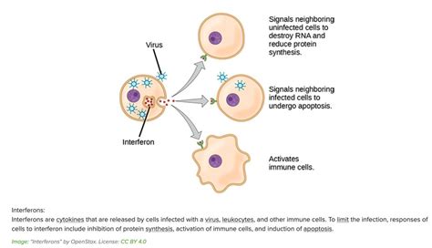 HIGH-DOSE EPA for LongCovid or ME/CFS? Recently I spoke w/ an MD who has treated ~40 #pwLC with ...