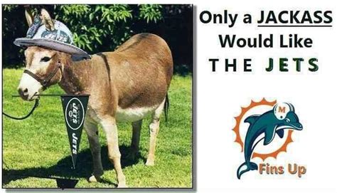 Miami Dolphins Memes (@DolphinsMemes) / Twitter