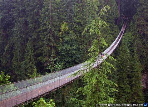 Capilano Suspension Bridge, Vancouver BC - Travel Photography