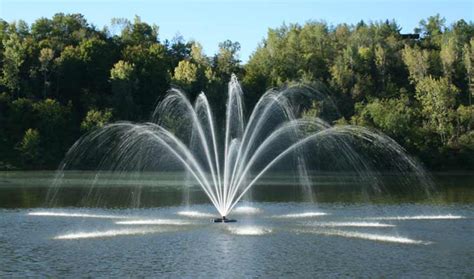 The Beauty and the Purpose Behind Lake Fountains