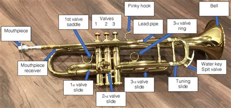 The Trumpet – Brass Techniques and Pedagogy