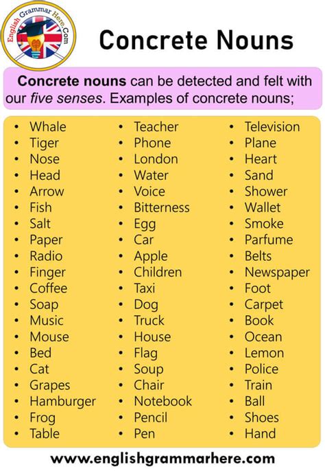 English with Anastasia Shybko: 10 examples of concrete nouns