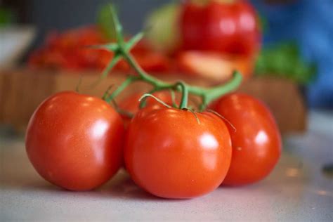 How to Harvest Tomatoes in 4 Easy Steps - Minneopa Orchards