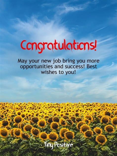 165 What to Write: Best Wishes for New Job – Simple Congratulations ...