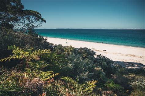 Jervis Bay Camping Guide | OneAdventure