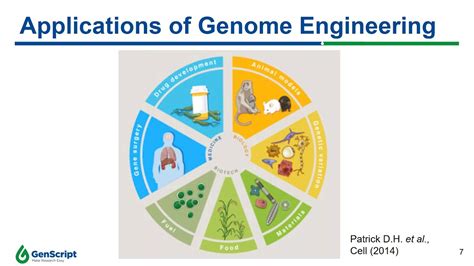 CRISPR genome editing and its applications - YouTube