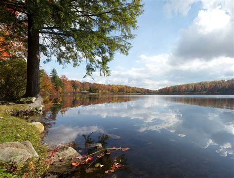 Sunfish Pond 3 by FOTOSHOPIC on DeviantArt