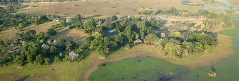 Mombo Camp Rebuild News – New Mombo Trails Camp | Ultimate Africa Safaris