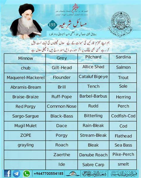 halal haram food list