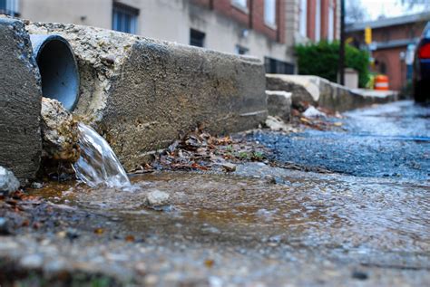 Live in an apartment? Here's how you can help reduce stormwater runoff ...