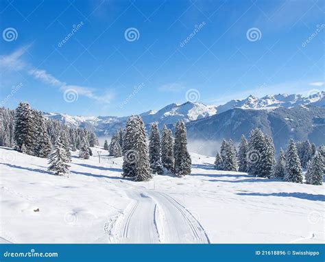 Skiing slope stock photo. Image of mountain, landscape - 21618896