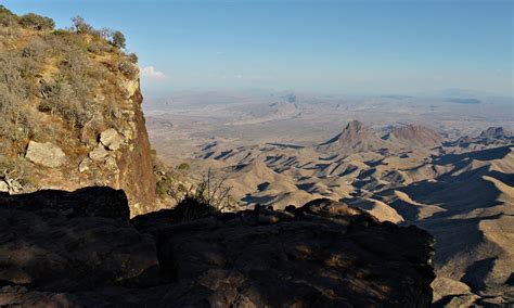 Landscape with Native Plants – Chihuahuan Desert Education Coalition