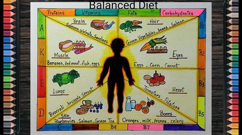 Image Result For Balanced Diet Chart For School Proje - vrogue.co