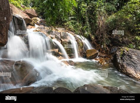 Deep forest Waterfall Stock Photo - Alamy