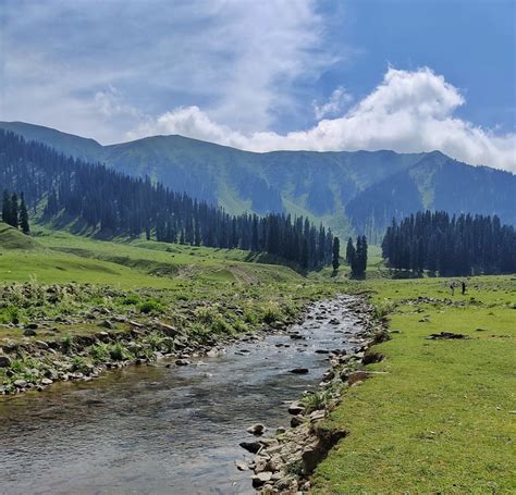 BANGUS VALLEY: A Beautiful Hidden Valley Of Kashmir - Tripoto