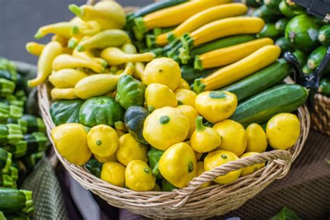 How to Harvest Delicata Squash to Delight Your Tastebuds