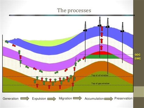 Petroleum Geology