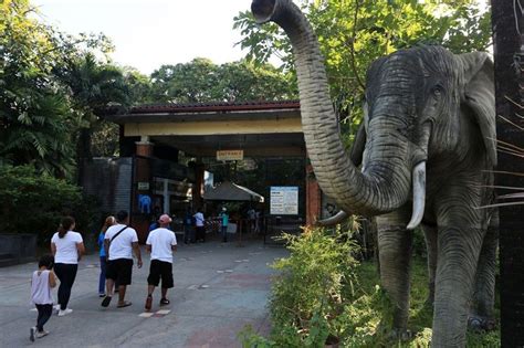 Manila Zoo shut down indefinitely due to untreated sewage | Philstar.com