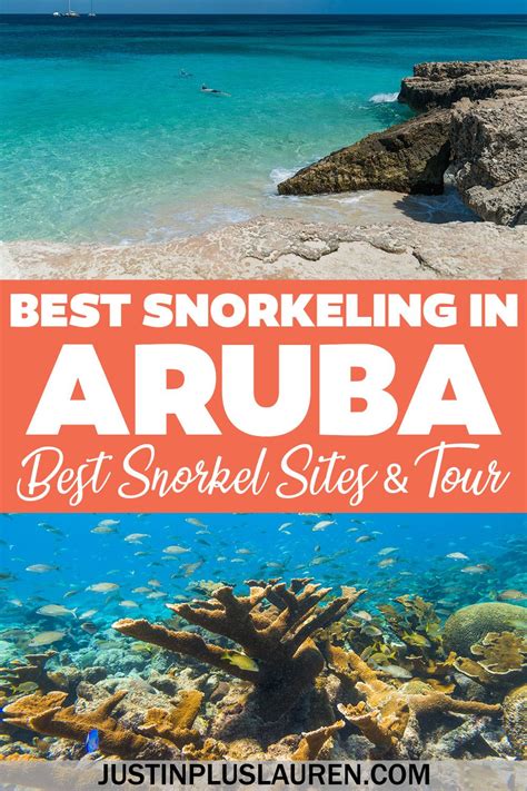 Best Snorkeling in Aruba: Aruba Snorkeling Tours and Top Sites | Best snorkeling, Aruba travel ...