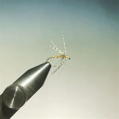 Wet-Fly Fishing: A 'How-To,’ Tips, and Best Flies | BlogFlyFish.com