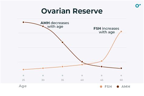 Boost Your Ovarian Reserve: How to Reduce High FSH Levels