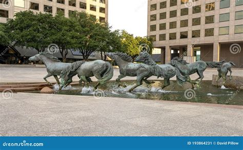 `the Mustangs of Las Colinas` by Sculptor Robert Glen in Williams ...