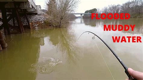 Muddy River Fishing (White bass and Crappie) - YouTube