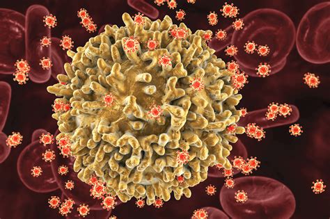 Retrovirus: Overview, Examples, How It Works