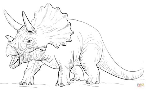 Desenhos De Triceratops Dinossauro Para Colorir E Imprimir | Images and ...