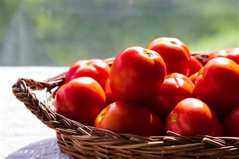 The Art of Harvesting Tomatoes: When and How to Pick the Perfect Fruit ...