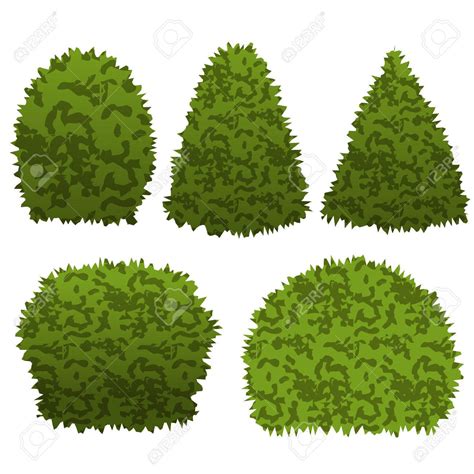 68+ Shrub Bushes Clipart | ClipartLook