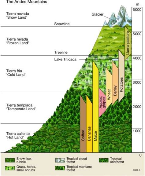 Maps - The Andes – Altitudinal zonation - Diercke International Atlas