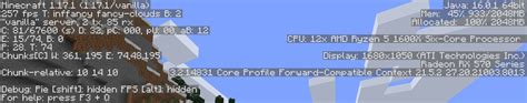 Why can't I see coordinates in F3? : r/Minecraft