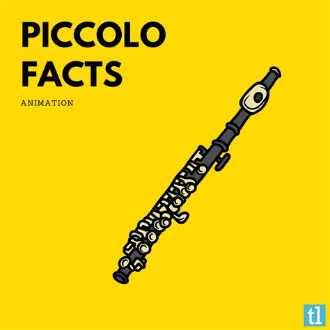 Piccolo Flute Facts. Animation | by Ted's List | Medium