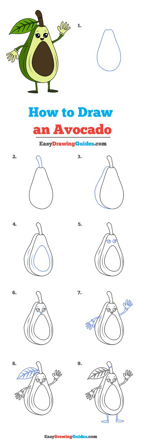 How to Draw an Avocado - Really Easy Drawing Tutorial