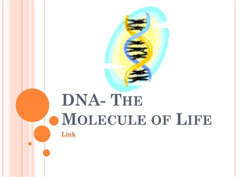 DNA- The Molecule of Life